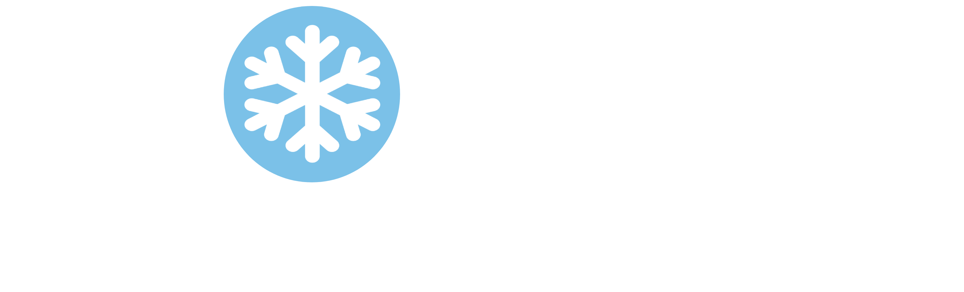 Flocken Capital Logo